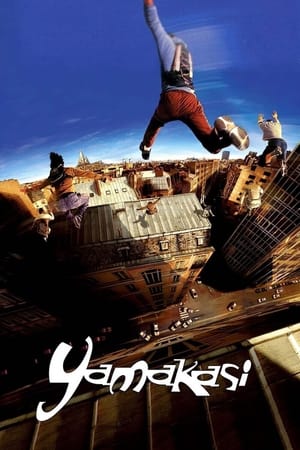 Yamakasi 2001 Dual Audio | Dubbed Hindi Movie BluRay [980MB]